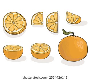 conjunto de citrinos laranja diferentes cortes e perspectiva forma da lua meio corte isolado no fundo branco
