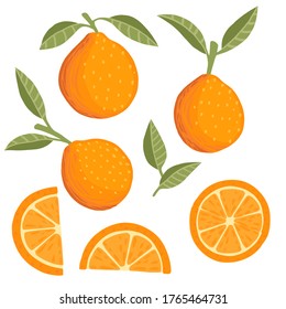 Set of orange citrus yellow fruit whole halved and sliced with green leaves flat vector illustration on white background