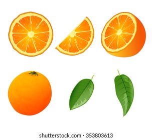 Set of orange.  Different slices of orange illustrations. Can be used in your own design, illustration, appearance and etc.