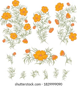 Set of orange flowers, branches, green leaves. Wedding concept with flowers. Vector arrangements for greeting card or invitation design. T-shirt design, emblem, logo.