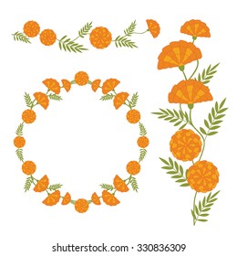 Set of Orange flowers on white background. Floral wreaths, frames and borders
