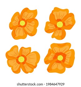 set of orange flowers, vector illustration