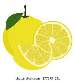 Conjunto de frutas anaranjadas y hojas sobre fondo blanco. Ilustración del vector
