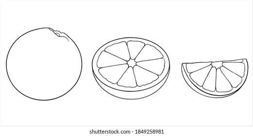 Set of orange fruit vector black and white outline. Isolated linear icon of parts of oranges, a whole orange, a half and a slice of fruit. Good for coloring book.