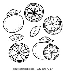 Conjunto de ilustraciones vectoriales de frutas anaranjadas en un bonito estilo dibujado a mano aisladas en fondo blanco. Doodle de fruta naranja 