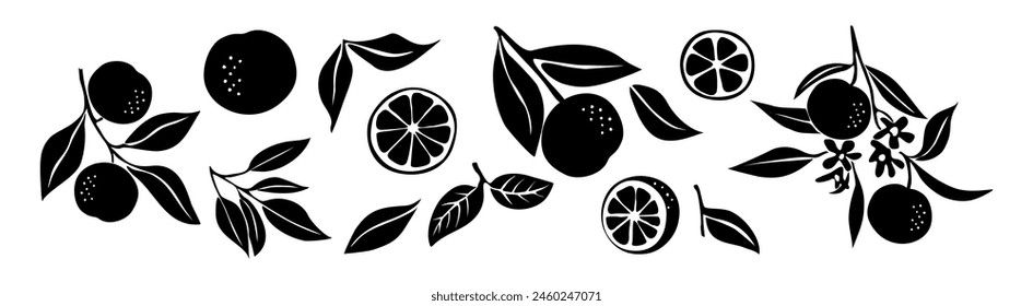 Set of orange fruits silhouettes with flowers and leaves. Hand drawn botanical design elements, icons, shapes. Black outline illustrations isolated on white background.