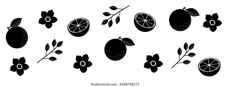 Set of orange fruits silhouettes with flowers and leaves. Botanical design elements, icons, shapes. Black outline illustrations isolated on transparent background