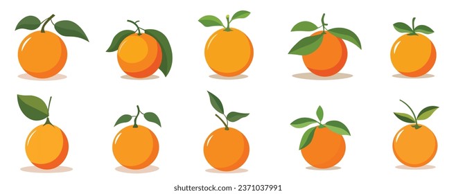 Set of orange fruits vector illustration design isolated on white background, whole orange fruit with leaves