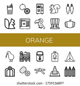 Set of orange icons. Such as Chicha de frutilla, Squirrel, Orange, Color picker, Juice, Toucan, Independence day, Carrot, Pumpkin, Kiwi, Tent, Mimosa, Pineapple , orange icons