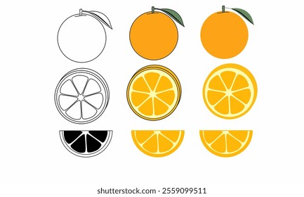 set of orange illustrations in three styles: outline, solid color, and sliced segments, featuring whole oranges, circular slices, and half-slices with leaves on a white background