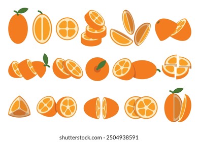 Set of orange Kumquat, Farm fresh Kumquat product emblem for grocery shop, Slides, long and cross sections, and different positions, simple flat vector illustration of vegetables and fruits.