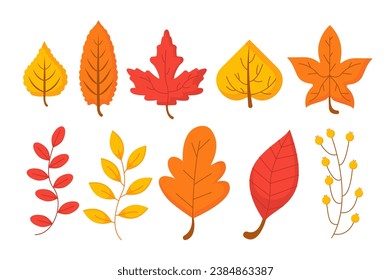 Set of orange leaves concept. Leaf for autumn and fall season. Rustic and natural scenery. Rustic colorful maple. Poster or banner. Cartoon flat vector collection isolated on white background