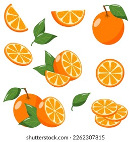 set of orange with leaves on white background vector