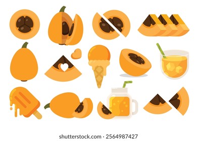 Set of orange Loquat, Farm fresh Loquat product emblem for grocery shop, collection of ice cream, Juice jar, glass of juice, ice cream cone and stick, simple flat vector illustration of fruits.