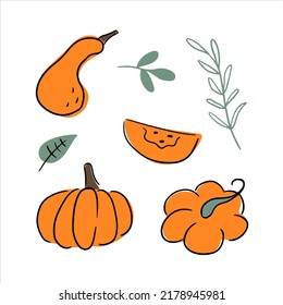 Conjunto de calabazas anaranjadas con hojas verdes. Elementos gráficos vectoriales para postales, diseño de camisetas. Ilustración de contorno dibujada a mano en estilo doodle. Cosecha de otoño y celebración de Halloween