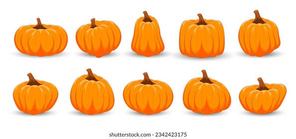 Set of orange pumpkins on white background. Happy Halloween. Thanksgiving day with orange pumpkin. Vector illustration.