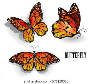 Set orange  realistic  isolated monarch butterflies white background 