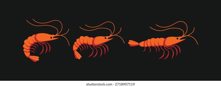 Conjunto de ilustrações de vetor de camarão laranja em poses diferentes isoladas no fundo preto para o menu de frutos do mar. Camarão cozido ou ícones de vetor plano de camarão definido para marca de restaurante de frutos do mar