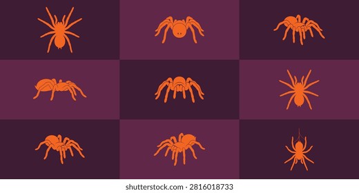 Set of orange spider icons in various perspectives with halloween, arachnid