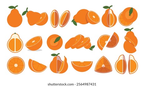 Set of orange Tangelo, Farm fresh Tangelo product emblem for grocery shop, Slides, long and cross sections, and different positions, simple flat vector illustration of vegetables and fruits.