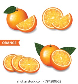 Set of orange vector illustration