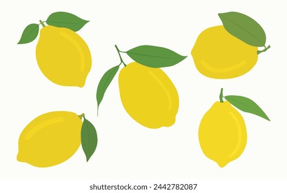Set Of Orange Vector Illustration With Green Leaf