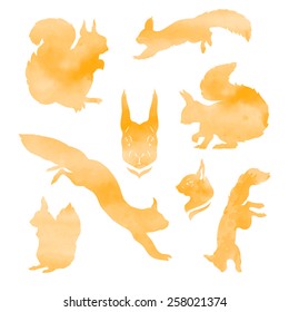 Set of orange vector watercolor squirrel 