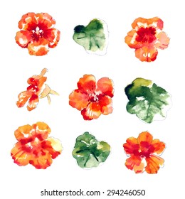Set of orange watercolor nasturtium flowers and leaves
