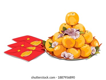 Reihe von Orangen für Cerebrate oder Beten mit rotem Umschlag auf weißem Hintergrund. Nahaufnahme, Vektorgrafik.