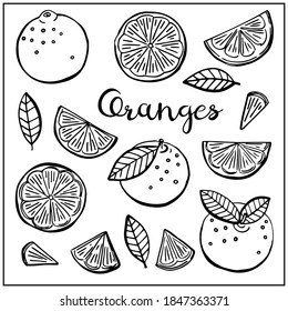 Set with oranges fruits  and leaves. Graphic hand drawn engraving style. Doodle illustration for packaging, menu cards, posters, prints. Isolated over white background.