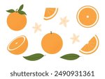 Set of oranges fruits whole, half and slice. Oranges with leaves and flowers. Clip art of citrus tropical fruits. Vector illustration, flat style isolated on a white background.