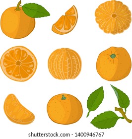 
Set of oranges on a white background.