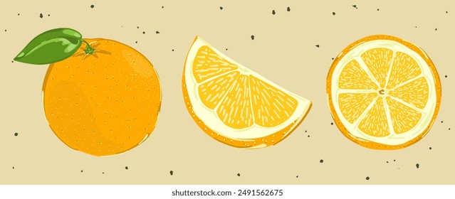 Set of oranges. Sweet bright orange slice or half in trendy retro vintage style. Cartoon yellow fresh food collection. Cute fruit icon. Hand drawn isolated vector illustration on pastel background