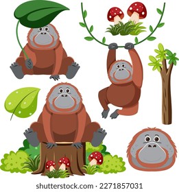 Set of orangutan cartoon character illustration