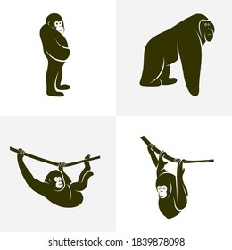 Set of Orangutan logo design vector template, Illustration design Orangutan Monkey, Symbol Icon