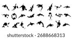 set of orca whale silhouette killer whale collection