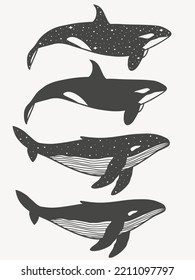 Set with orca and whale. Silhouettes of big ocean fish