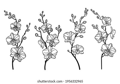 3,443 imágenes de Orchid tattoo art - Imágenes, fotos y vectores de stock |  Shutterstock