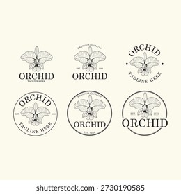 Definir desenho do logotipo da orquídea. tema clássico da flor da orquídea. desenho à mão. desenho do emblema da flor da orquídea. arte da linha e logotipo simples da orquídea