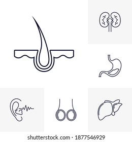 Set Set Set mit Logo-Design, Vektorvorlage für Organs, Logo-Design-Konzept, Symbol