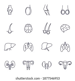 Set of Organ human logo design vector template, Organs logo design concept, Icon symbol