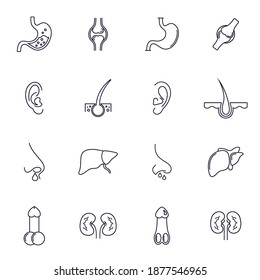 Set of Organ human logo design vector template, Organs logo design concept, Icon symbol