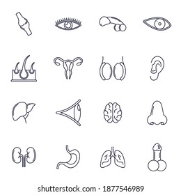 Set of Organ human logo design vector template, Organs logo design concept, Icon symbol