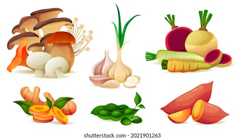 Set of organic farm vegetables, vitamin vector set
