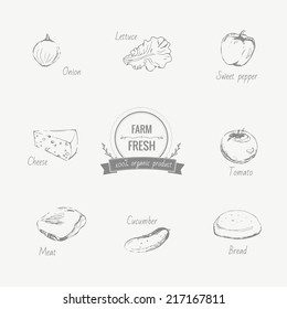 Set of organic food icons with labels and elements. Sketch style monochrome vector illustration