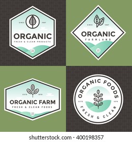 Set Of Organic Food Logo, Badges, Banners, Emblem With Pattern. Package Design. Clean Food. Natural Food, Healthy Fresh Food, Vegan, Farm Products. Linear And Flat Style. Vector Illustration.