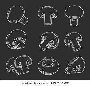 Set of organic food mushrooms, hand-drawn chalk sketch on a blackboard. Vector outline monochrome illustration of whole champignon and slices for retro vintage style menu design, flyer, wrapping.