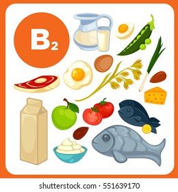 Set of organic food with vitamin B2. Ingredients for health: tomato, lemon, beef, milk, egg. Healthy nutrition, diet with B 2 sources: fruit and vegetables. Vector icons in cartoon design