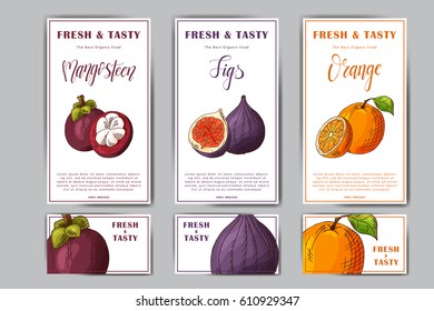 Set of organic fruits cards. Hand drawn sketch elements. Banner collection template. Farm company. Vector illustration for poster