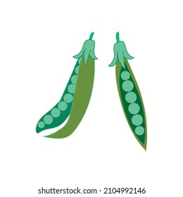 Set of organic green peas vegetable,vector, illustration.